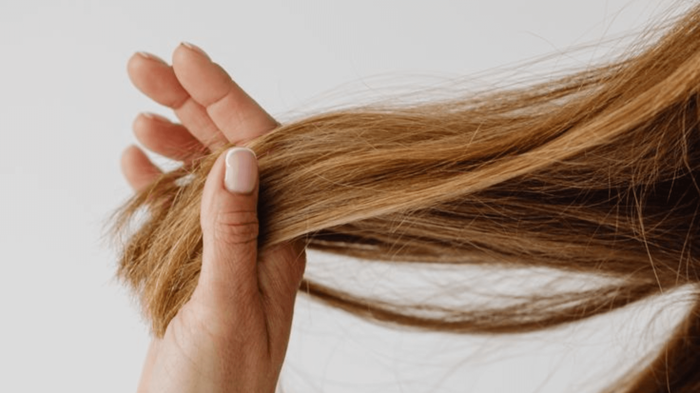 Taking Care of Your Hair in Summer : A Vital Step for keeping them Healthy