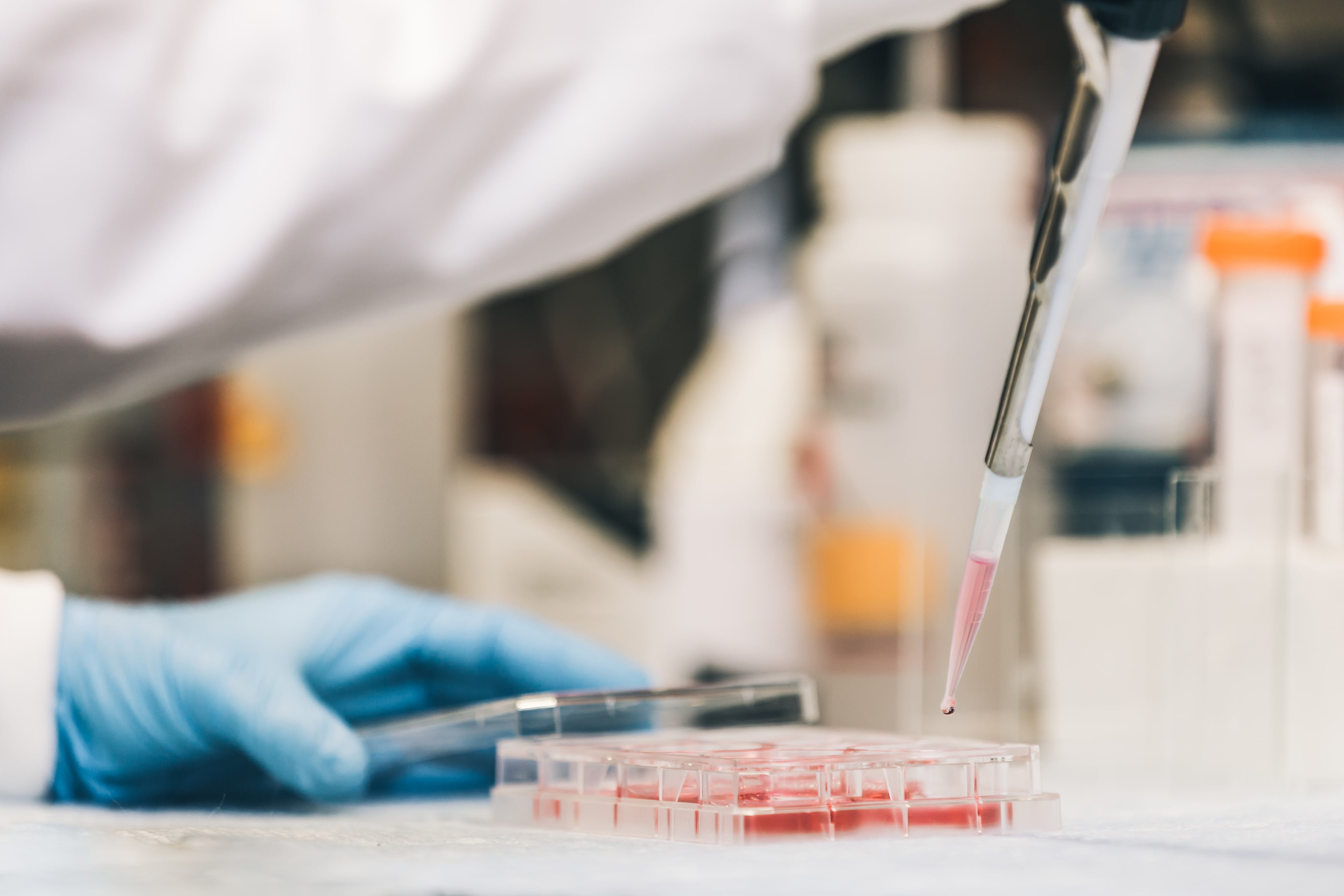 laboratory work
