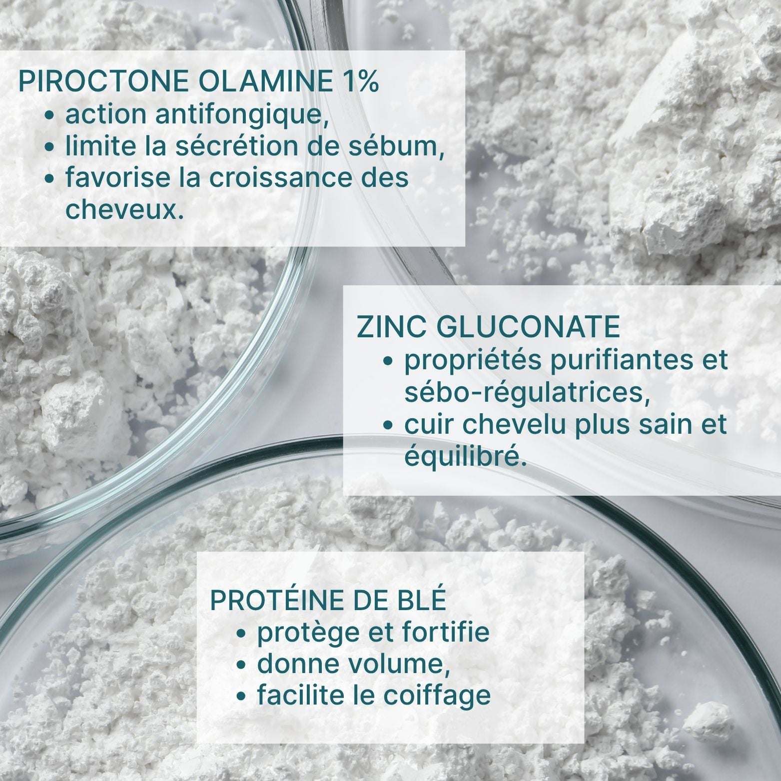 anti-dandruff shampoo [piroctone olamine 1% + zinc gluconate]