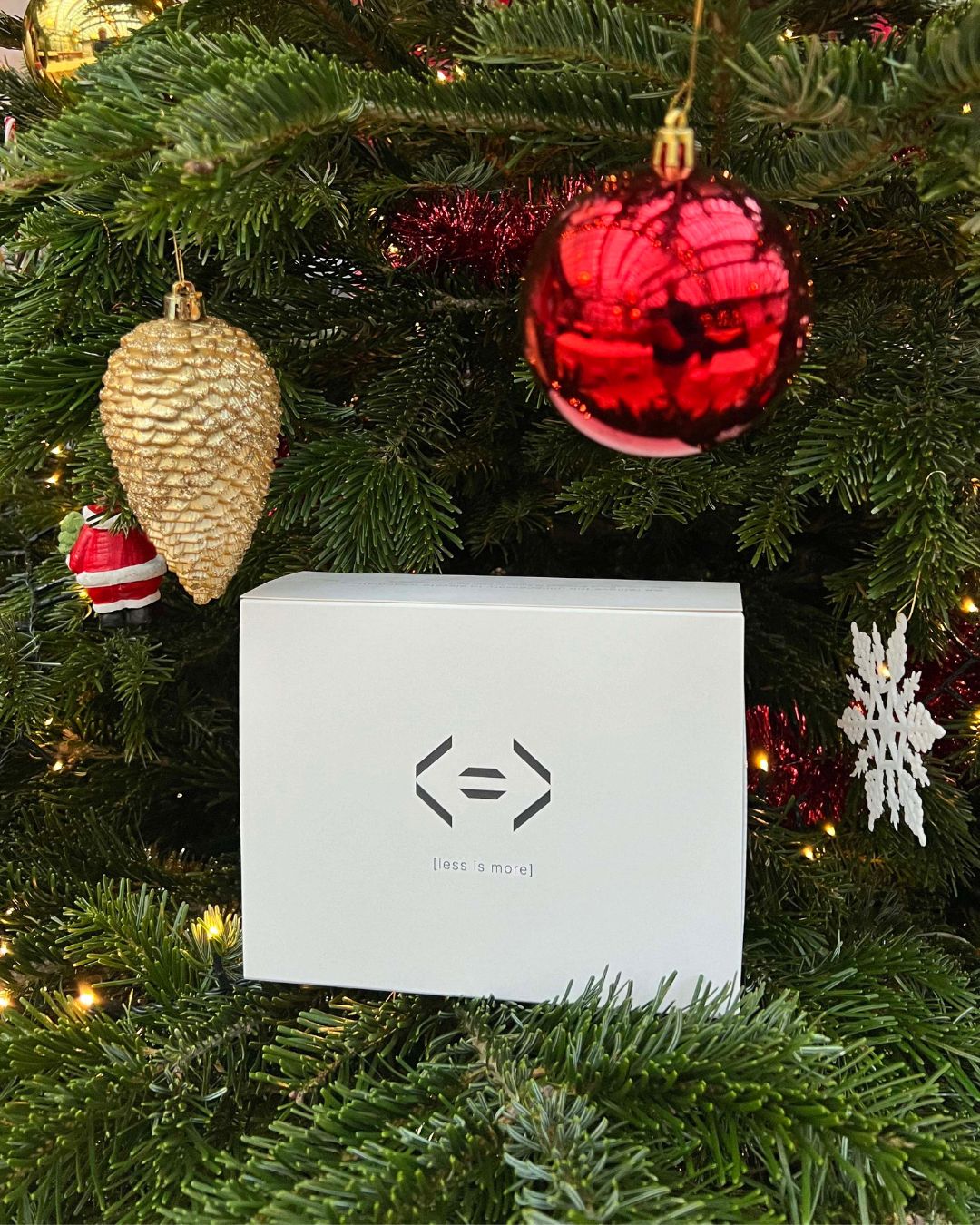 Christmas set under the tree